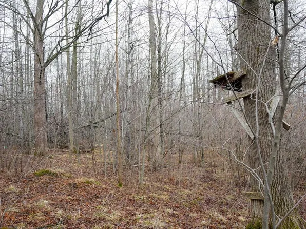 25.89 Acres COUNTY ROAD M, Gilman, WI 54433
