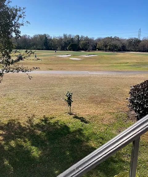 View from living room/sunroom