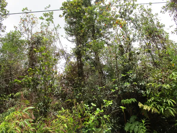 Pilo St Lot 45, Mountain View, HI 96771