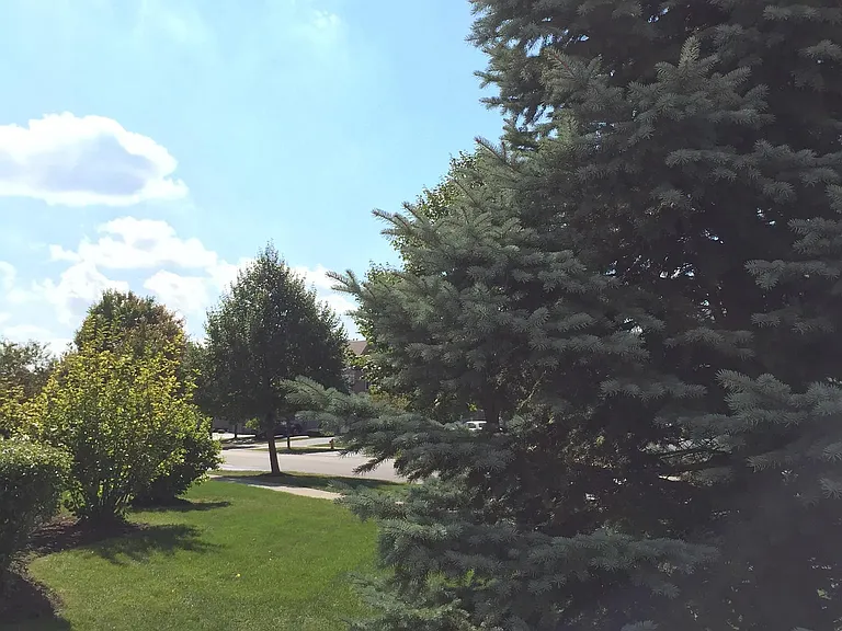 2880 Stonewater Dr — Photo 29