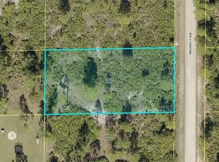 1313 Prospect Ave, Lehigh Acres, FL 33972