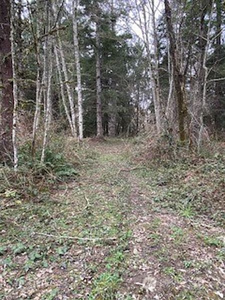 4th image of 252 XX SE GREEN VALLEY RD