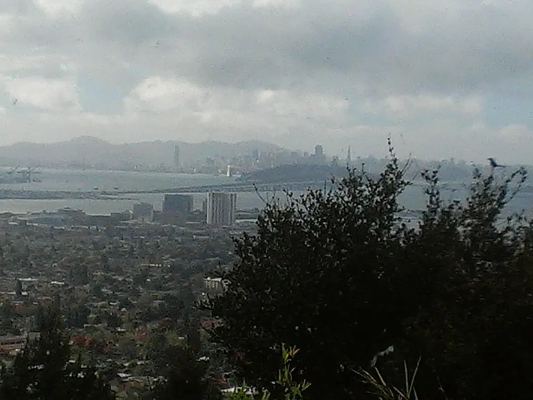 330 Panoramic Way #1/2 — Photo 6