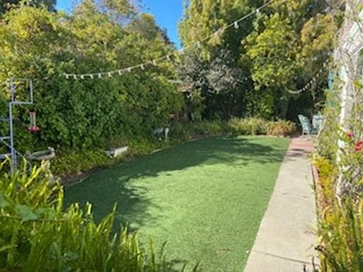 Front yard view
