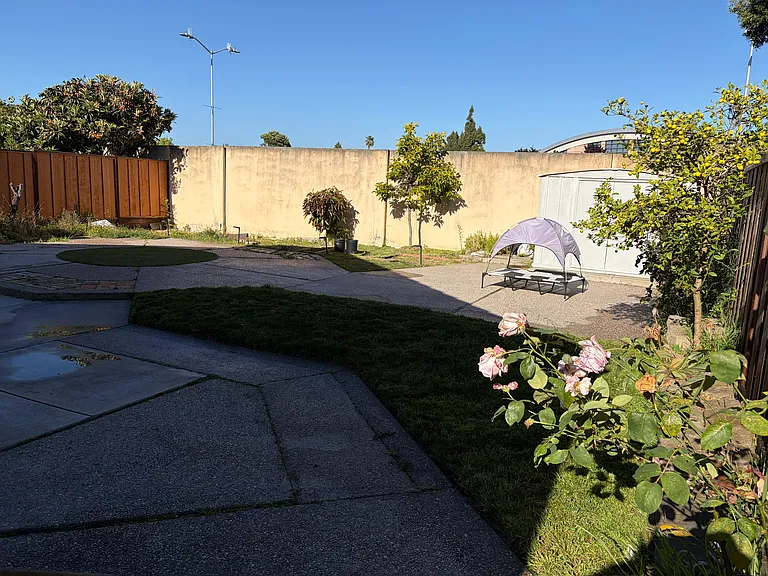 31224 Lamprey Dr — Photo 20