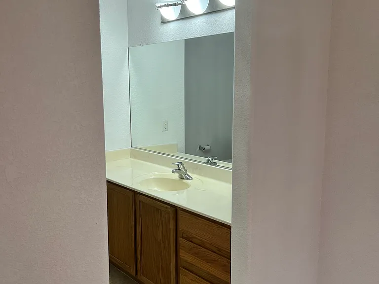Master bathroom vanity and sink