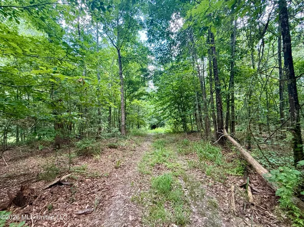 Chisholm Dr SW, Bogue Chitto, MS 39629