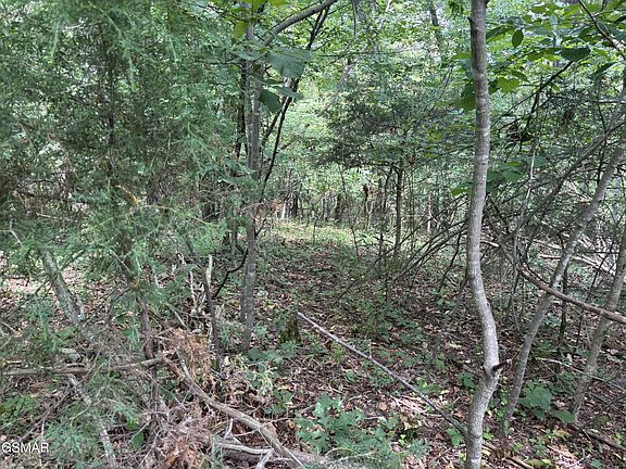 3rd image of 9 Red Bud Dr Lot 9