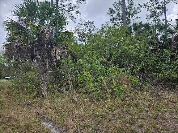2nd image of 20339 BACHMANN BOULEVARD LOT 20