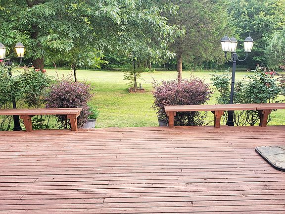 View from back deck towards woods