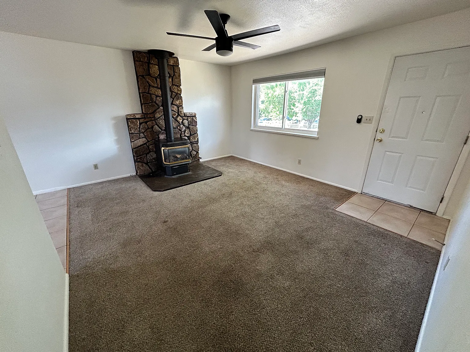 154 S Los Pinos Dr — Photo 3