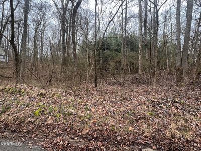 Shady Trail Dr, Kingston, TN, 37763