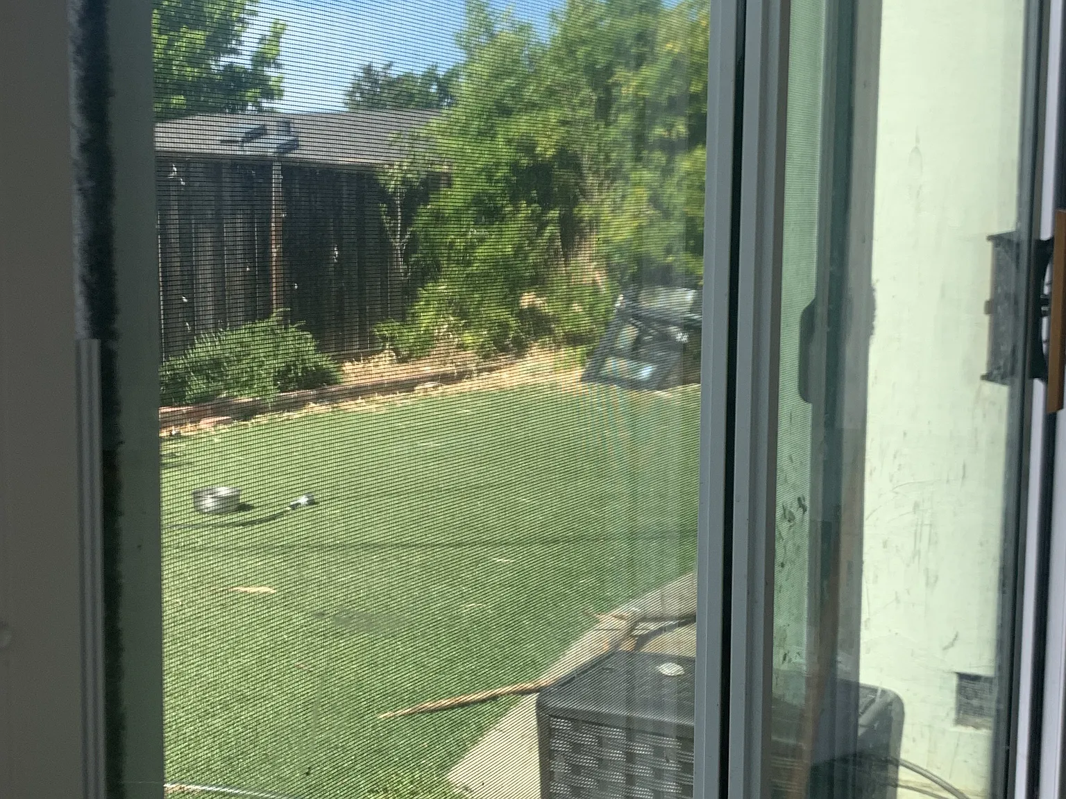 1 bed, 1500 sqft, $1,550 — Photo 2