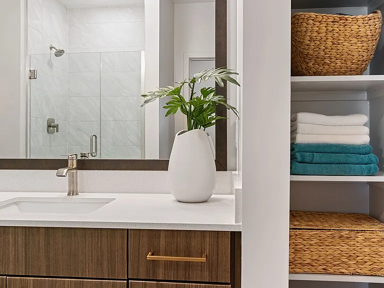 Distinctive bathroom features