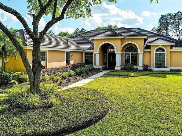 8908 Magnolia Chase Cir, Tampa, FL 33647