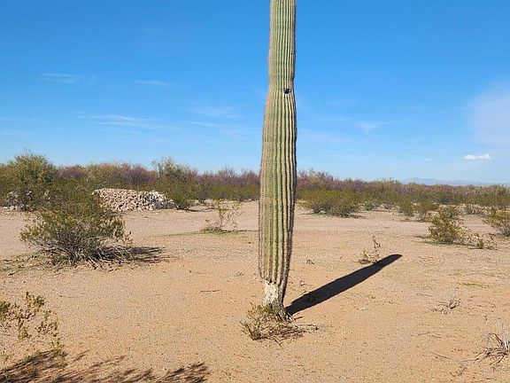 5th image of 8390 N Blanco Wash Trl