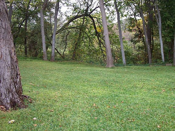 Backyard view