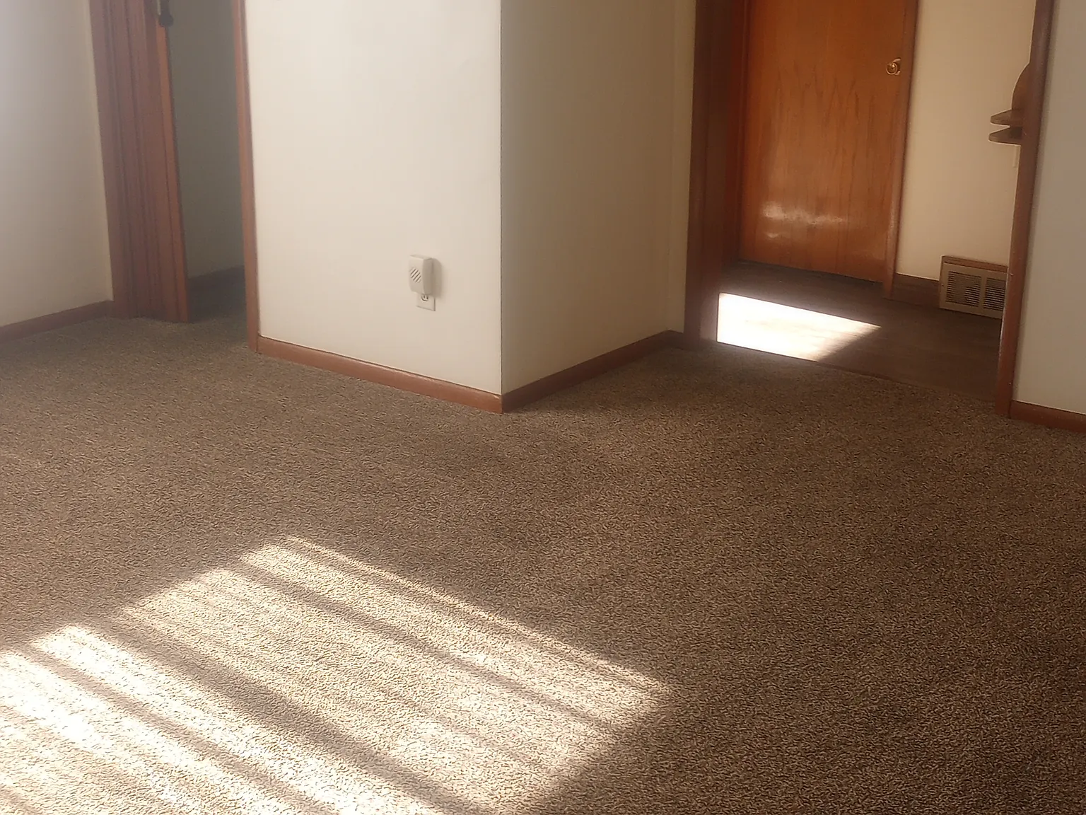 1 bed, 800 sqft, $750 — Photo 3