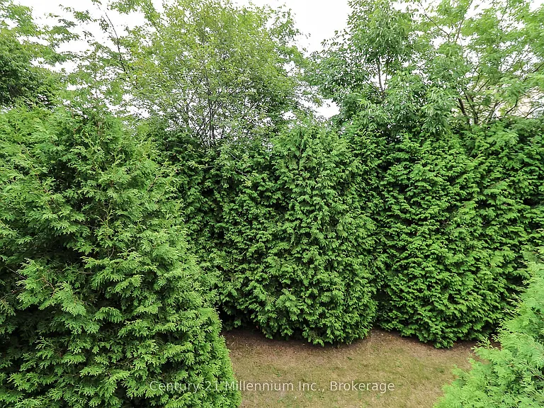 55 Trott Blvd #124 — Photo 30