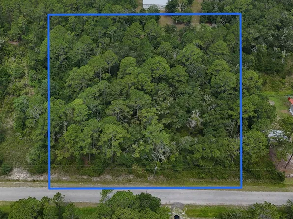 9935 McMahon Ave, Hastings, FL 32145