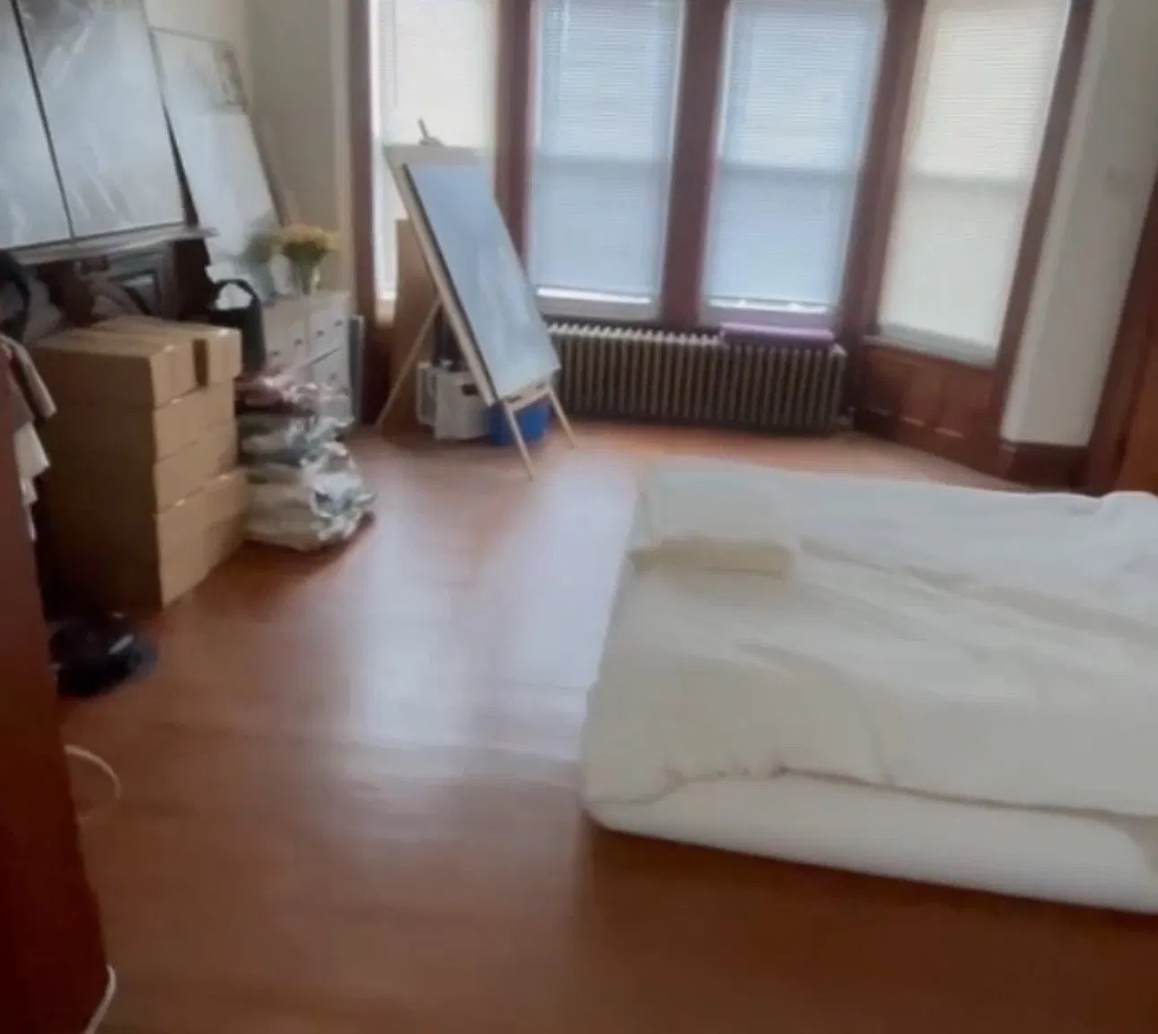 1 bed, 525 sqft, $1,150 — Photo 4