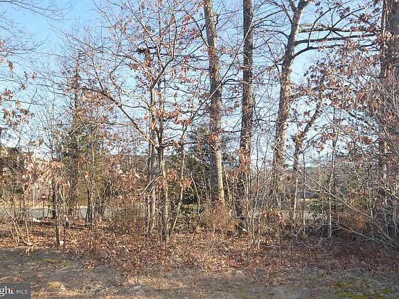 2nd image of 2454 Covered Wagon Ct