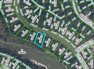 Creek Ridge Rd, Brooksville, FL 34601
