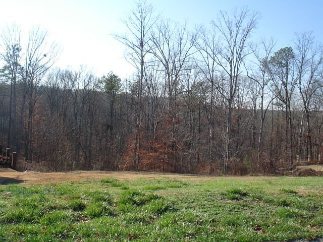 last lot in Estate section of Chapel Hills
