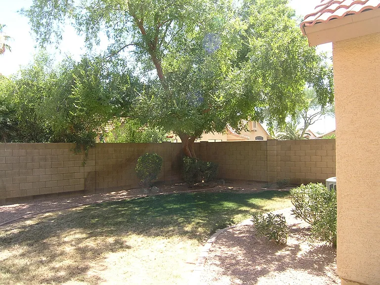 Backyard