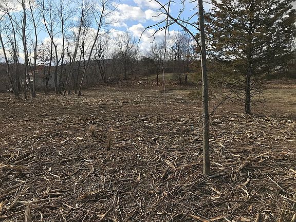 2nd image of Wild Flower Ln