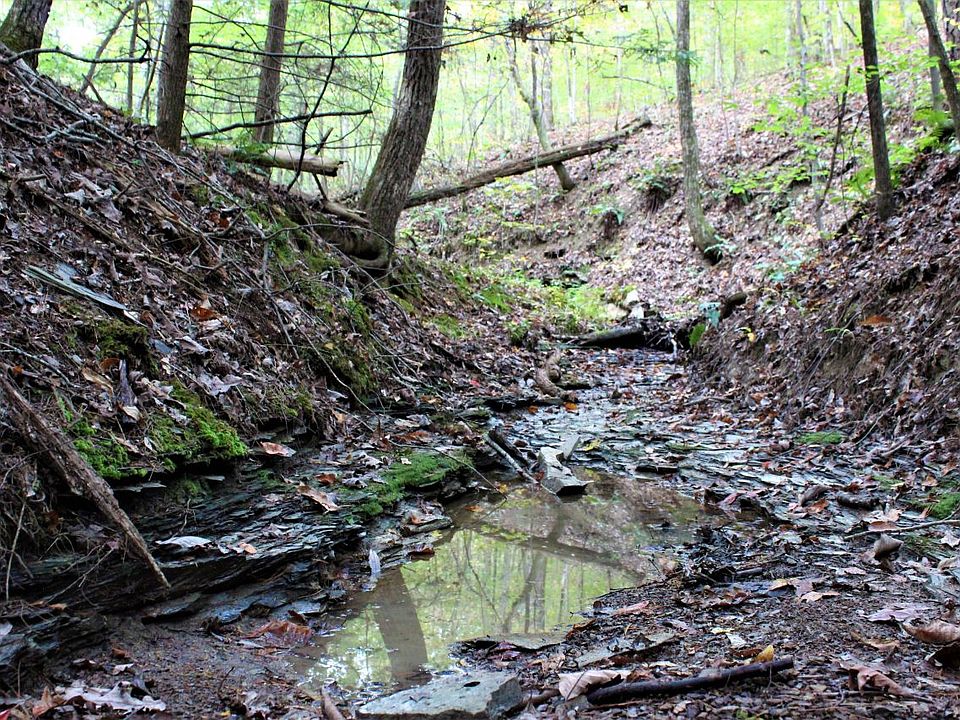 One of the seasonal streams flowing through the center of the property