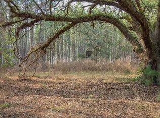 8142 Pretty Pond Ln, Perry, FL 32348