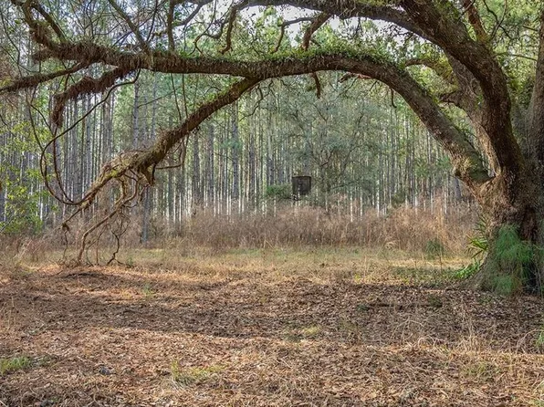 8142 Pretty Pond Ln, Perry, FL 32348