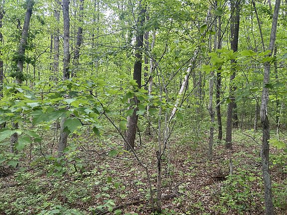 3rd image of 0 Route Davis Rd