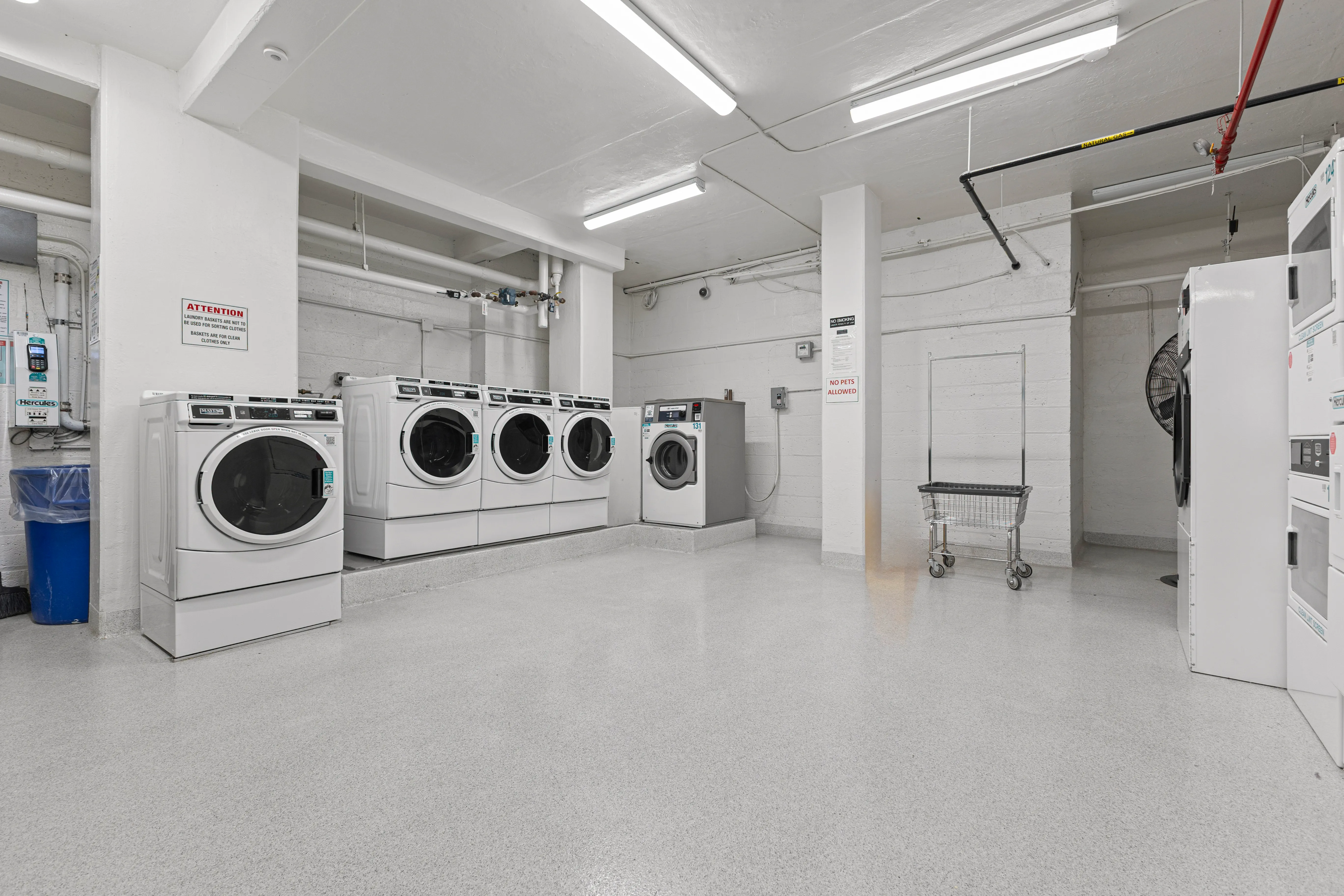 210 Clinton Avenue #1B in Clinton Hill, Brooklyn | StreetEasy