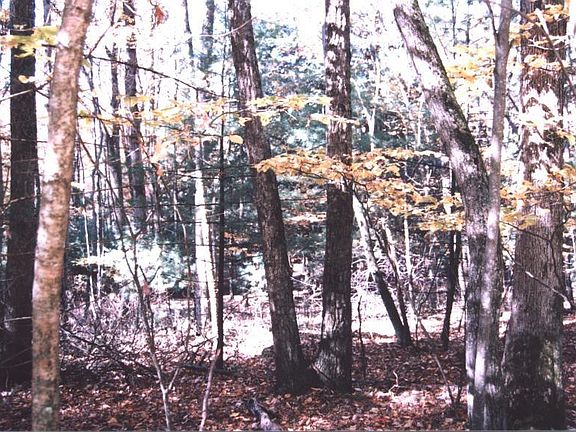 3rd image of Woodledge East Lake Dr