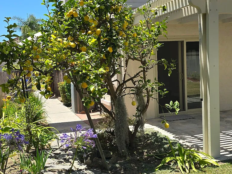 6728 Antilope St — Photo 3