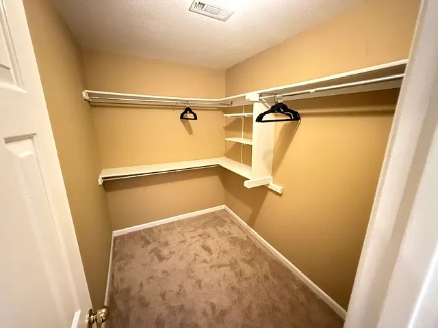 5199 Panola Mill Dr — Photo 23