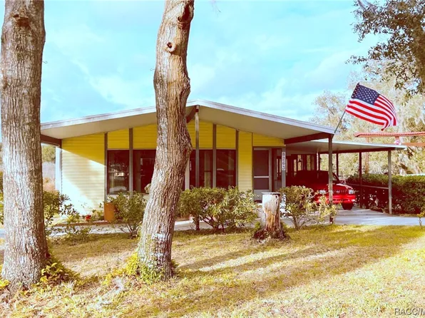 8263 E Sunray Ln, Floral City, FL 34436