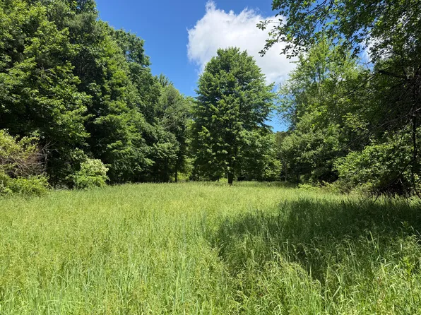 Hagerman Rd, Leonard, MI 48367