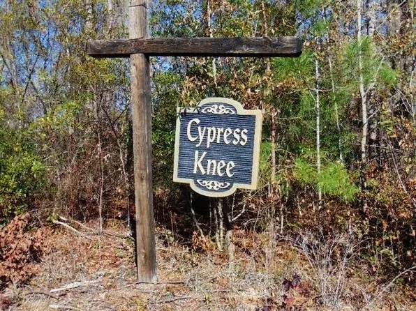 17 Parklin Ln, Elloree, SC 29047