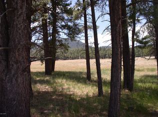 5 Co Rd #Q, Alpine, AZ 85920