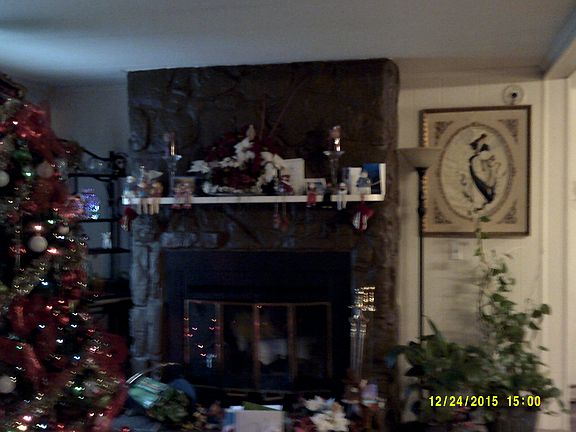 wood burning fireplace