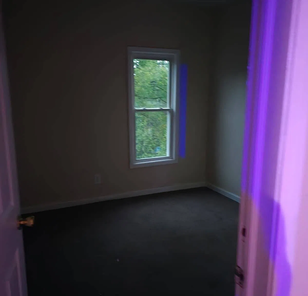 Studio, $1,650 — Photo 2
