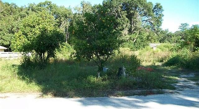 1st image of 1201 Oak Haven Dr