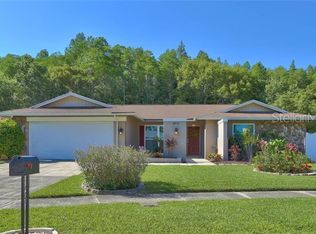 4216 Windtree Dr, Tampa, FL 33624