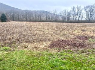 0 Klawitter Rd #3, Great Valley, NY 14741