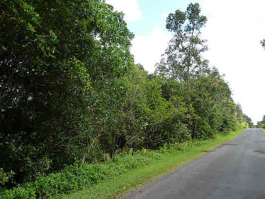 1st image of Ocean View Pkwy Lot 881