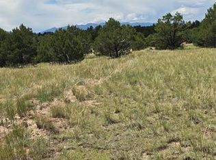 863 15th Trl, Cotopaxi, CO 81223