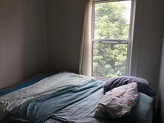 Rented by 50 Stanhope LLC